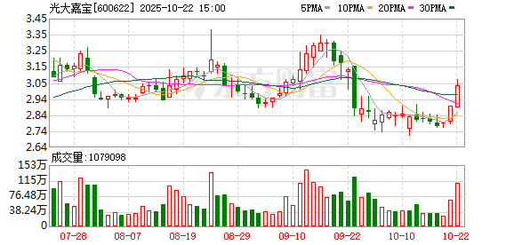 宝盈国际 光大嘉宝：2025年第四次临时股东大会决议公告