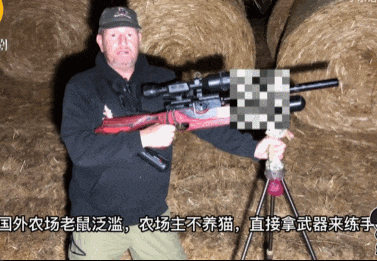 神牛资讯 头部中弹！近日安徽18岁男孩深夜遭遇枪击，枪是从哪来的？